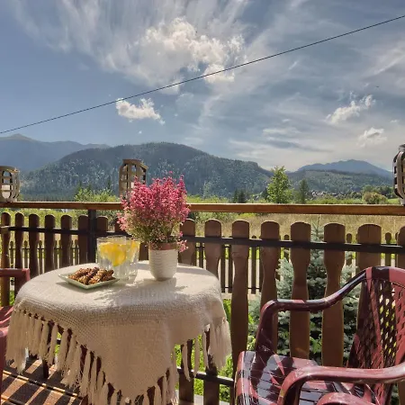 Visitzakopane - Amelia Апартаменты Косцелиско